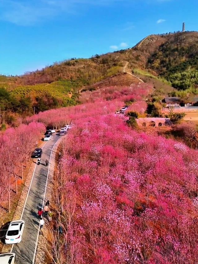 探索冶父山：追尋山林間的古韻遺風