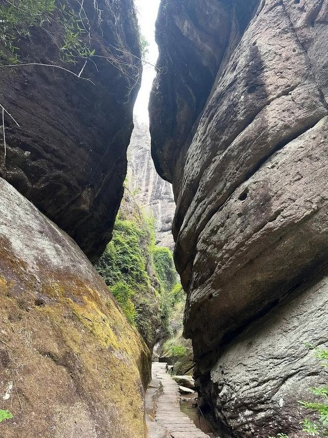 南平旅遊必備攻略（超全）
