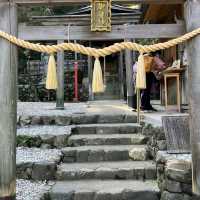 日本京都御髮神社✨ 我的護髮達摩來了