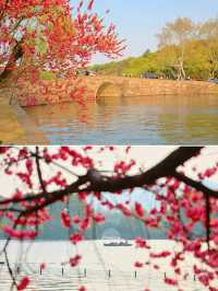 杭州「最美轉角」，盡頭似海，兩側樹木遮天
