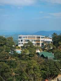 廣東春日團建上春山採春茶體驗慢生活
