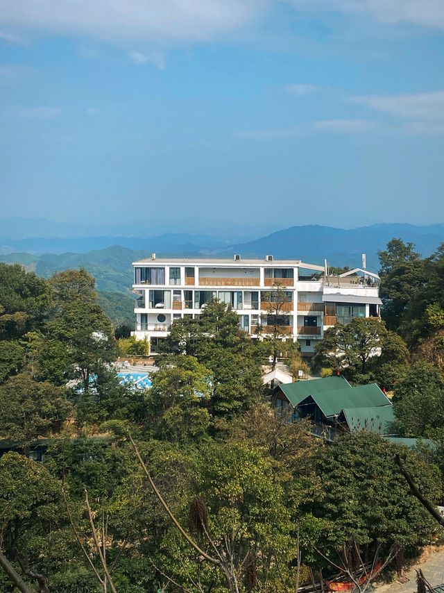 廣東春日團建上春山採春茶體驗慢生活