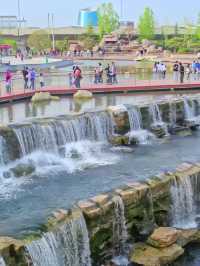 西流湖公園：梅香四溢嘅冬日詩意