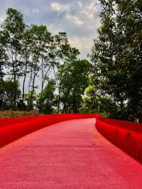 深圳最美的虹橋公園！！
