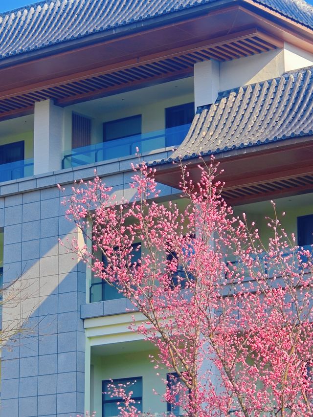 仁懷溫泉大酒店|心之所安，興之所至