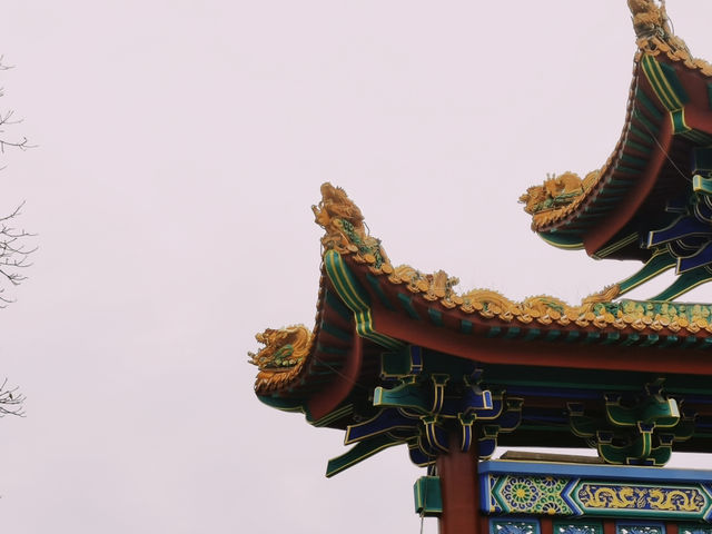 挑戰一星期遊一個公園-龍園