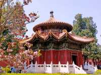 Imperial Gardens of China: A Glimpse into Nature and Harmony