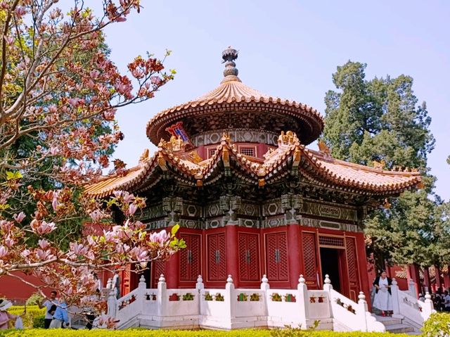 Imperial Gardens of China: A Glimpse into Nature and Harmony