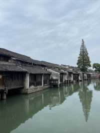 烏鎮終極攻略：枕水江南，解鎖最全玩法！