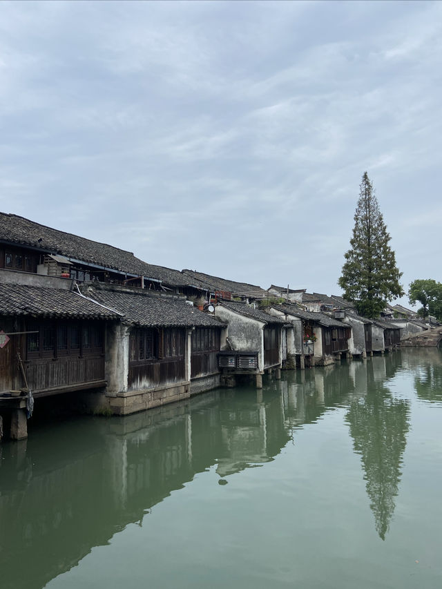 烏鎮終極攻略：枕水江南，解鎖最全玩法！