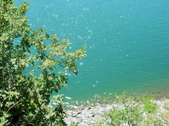 🌟【新疆探秘】天山天池，究竟值不值得？一日游避坑秘籍大公開！ 