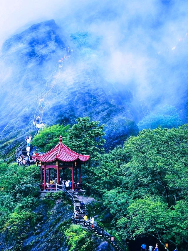 福建武夷山慳錢旅遊及避坑攻略