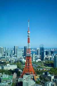 東京タワーと桜の絶景