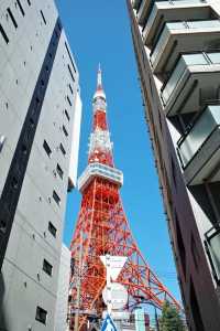 東京タワーと桜の絶景