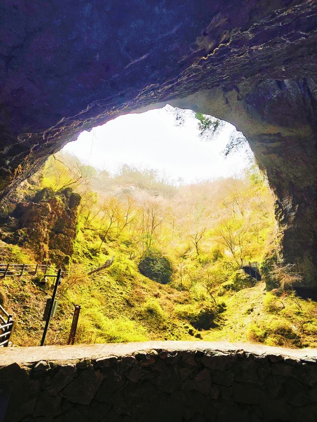 曾家山景區 | 走進天然氧吧，開啟清新治癒之旅