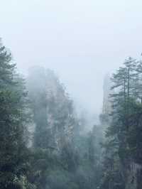 張家界｜奇幻山水間的冒險之旅
