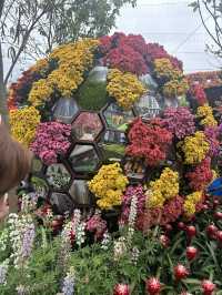 香港維多利亞公園花卉展的魅力！