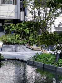 公園中的寧靜與大自然的和諧