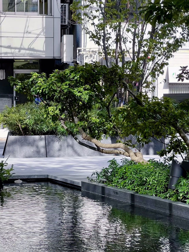 公園中的寧靜與大自然的和諧