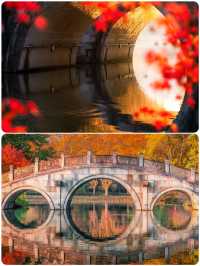 杭州小眾去處，秋景打卡地大揭秘