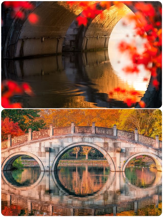 杭州小眾去處，秋景打卡地大揭秘