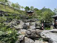 🌳深圳秘境大發現！玉龍公園