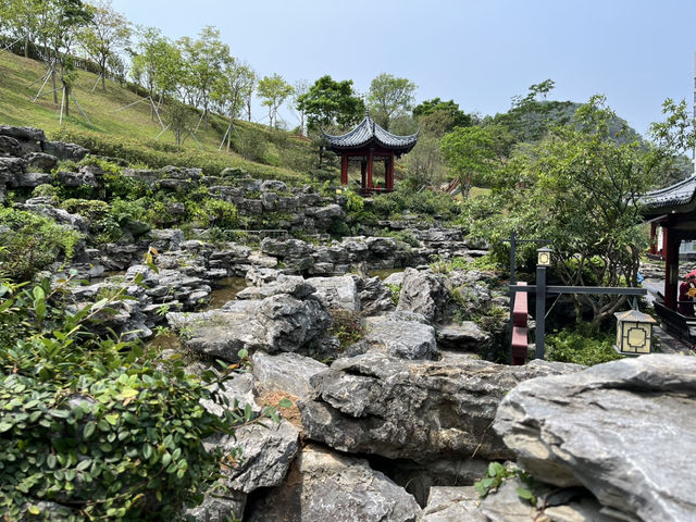 🌳深圳秘境大發現！玉龍公園