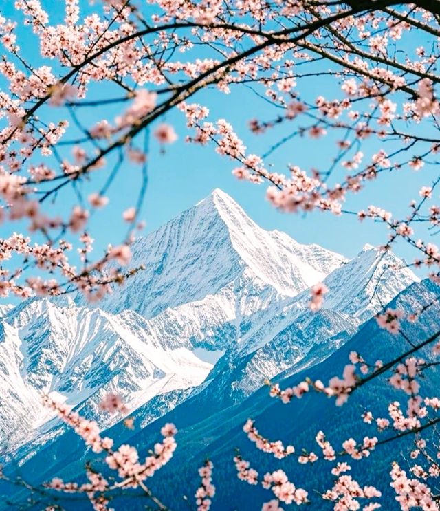 探秘林芝，遇見中國最美的春天