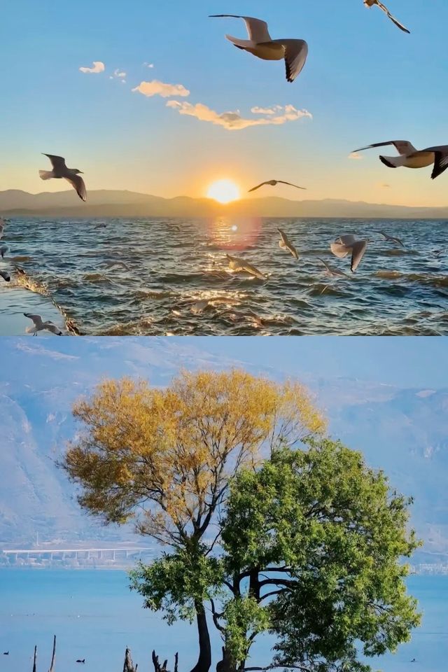 雲南慢活：曬太陽、歎普洱，這才是人生