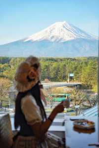 唔想人逼人，呢啲機位一樣可以影到富士山嘅人生照片