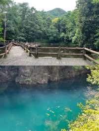 四合院民宿！大奇山森林公園，最能吸氧！