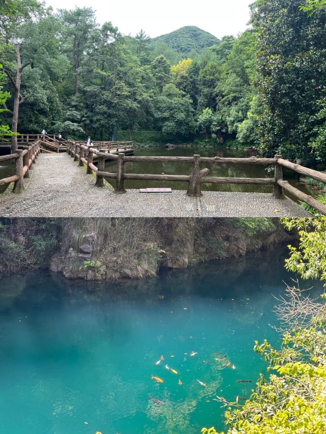 四合院民宿！大奇山森林公園，最能吸氧！