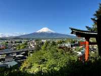 A Day with Fuji