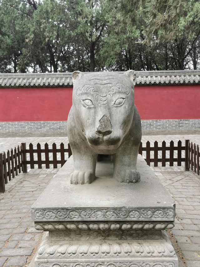 【河南安陽市】袁林自駕遊。
