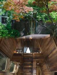 齊雲山自由家·樹屋世界：親子遊玩好去處