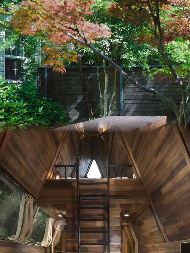 齊雲山自由家·樹屋世界：親子遊玩好去處