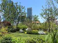 延華園——靜安區嘅隱世寶藏口袋公園