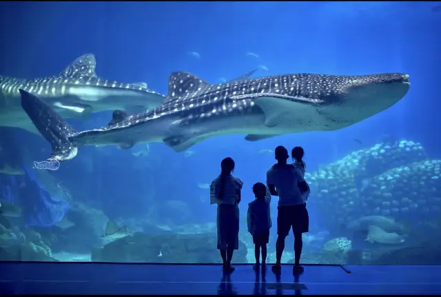 珠海三日遊,時間唔多夠留啲遺憾下次繼續