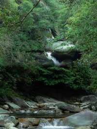 徒步臥龍山「龍脊線」