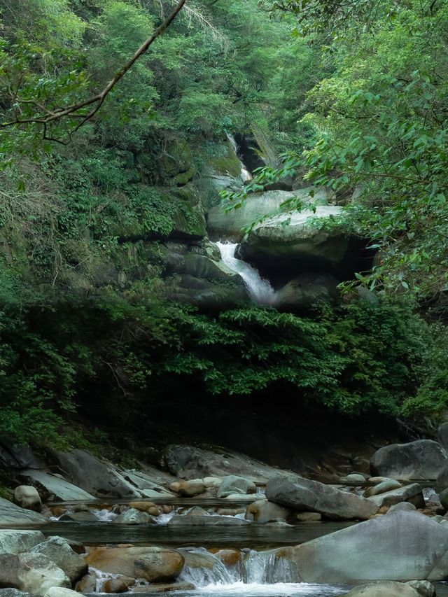 徒步臥龍山「龍脊線」