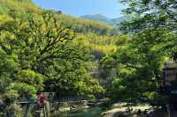 江浙滬徒步  一幅優美嘅富春山居圖