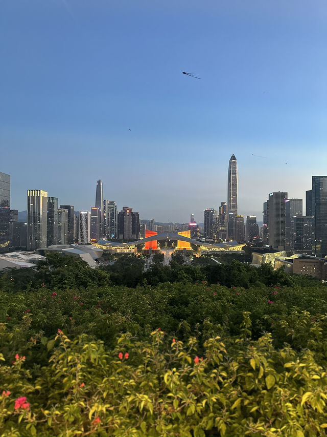 Unbelievable Shenzhen, A Cheaper Hong Kong! Top Low Budget Trip