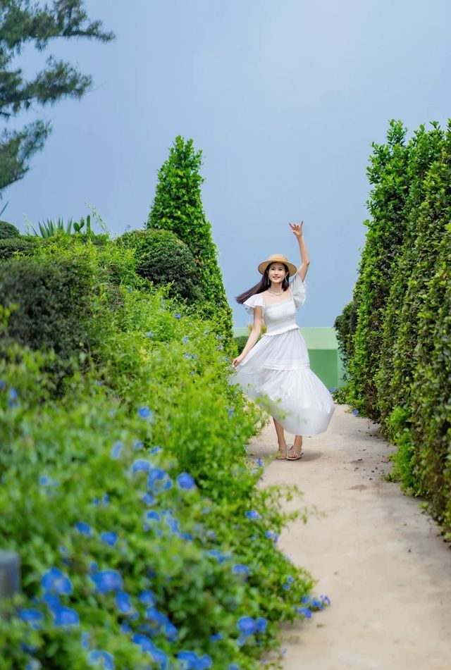 涠洲島最成功的一次春夏懸崖花園