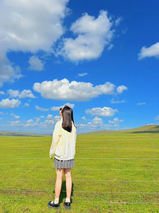 【草原之上，禁止蕉綠】將時間還給風景