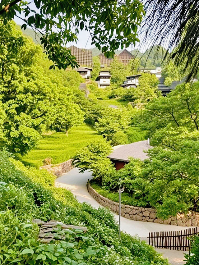 杭州1.5小時！安吉森林野奢草屋吸氧之旅