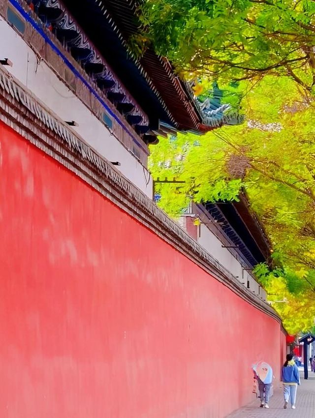 銀川玩咗兩日，我嘅消費觀崩塌咗