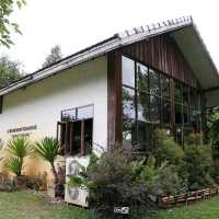 เรื่องราวของชา ที่ ร้านชาสวรรค์บนดิน จ.เชียงราย