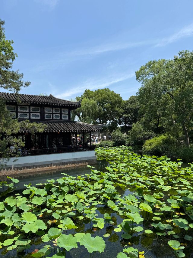 蘇杭四天三晚只需600+的旅行
