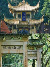 峨眉聖境｜3077米金頂與佛光同修嘅渡劫指南 （踏九十九道天梯，避三千猴匪，奪萬丈霞光） 開卷禪