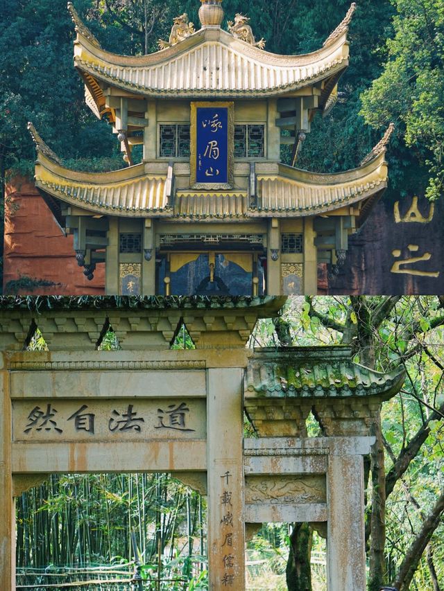 峨眉聖境｜3077米金頂與佛光同修嘅渡劫指南 （踏九十九道天梯，避三千猴匪，奪萬丈霞光） 開卷禪